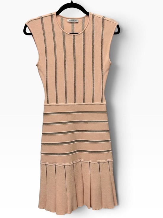 Ronny Kobo Dresses & Skirts - Ronny Kobo Blush Metallic Stripe Knit Fit & Flare Mini Dress Sz XS